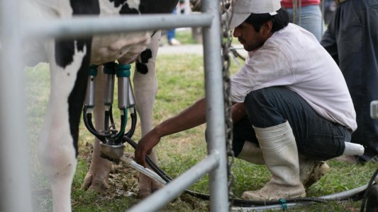 Rescatan a un hombre que fue víctima de explotación laboral durante 20 años en un tambo
