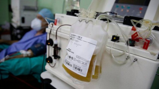 Plasma para pacientes con covid: todos los detalles del tratamiento