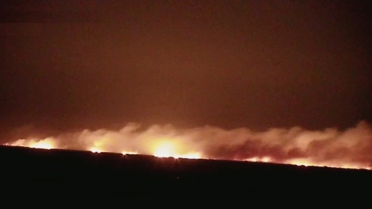 Ambientalistas protestaron frente a los Tribunales provinciales por la quema de las islas