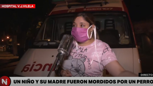 Un niño de doce años y su madre fueron atacados por un perro