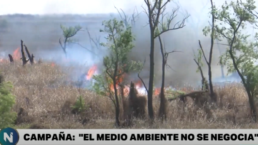 "El medioambiente no se negocia", campaña rosarina por la ley de Humedales