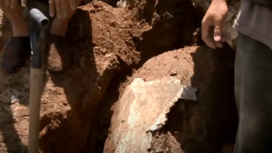 Hallaron restos de un gliptodonte en el arroyo Pavón