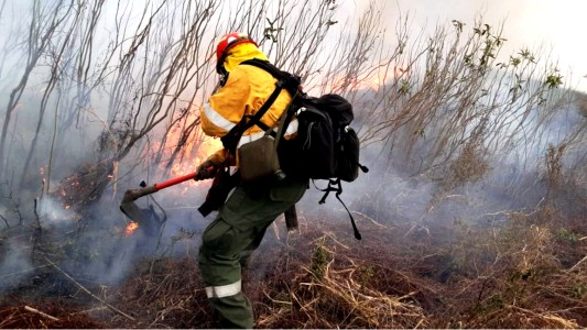 Más de 100 brigadistas trabajan para combatir los incendios en las islas