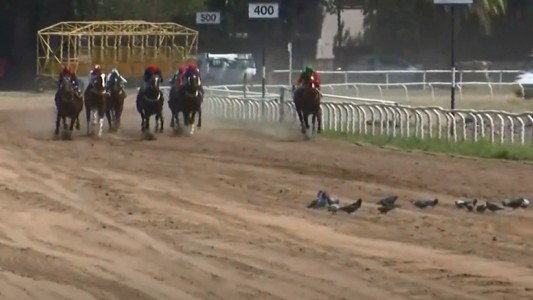 Volvió la actividad al Hipódromo de Rosario