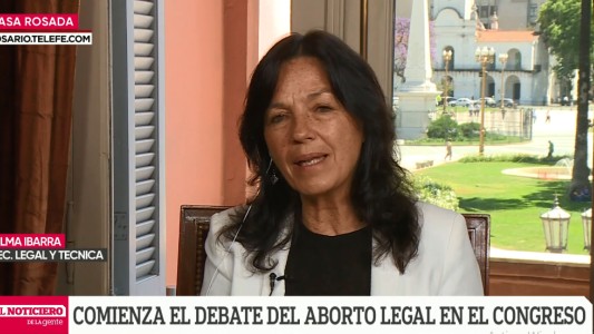 Vilma Ibarra: "La penalización del aborto no resuelve el problema ni disuade su ocurrencia"