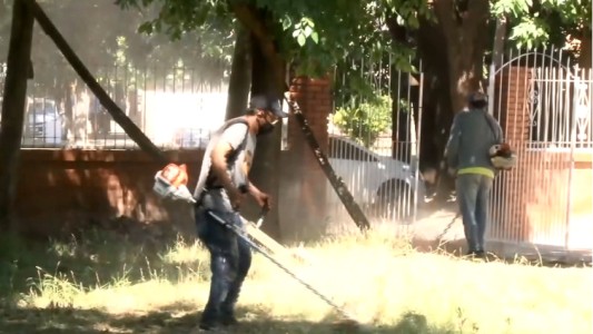 Comenzaron los operativos para prevenir el dengue dentro de los predios escolares