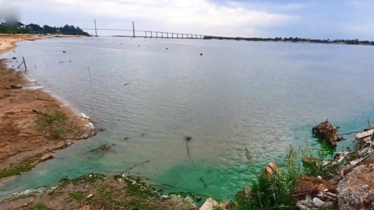 Aguas verdes en el Paraná: ¿Es riesgoso para la salud?