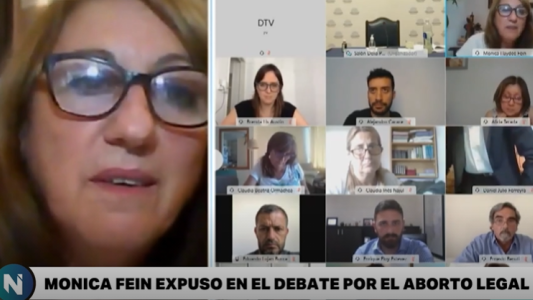 Debate por el aborto legal: expuso Mónica Fein y destacó el modelo de salud de Rosario