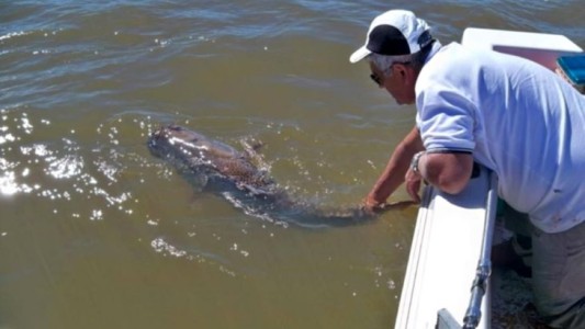 Veda pesquera: la Cámara de Feria hizo lugar parcialmente al recurso de apelación planteado por la Provincia