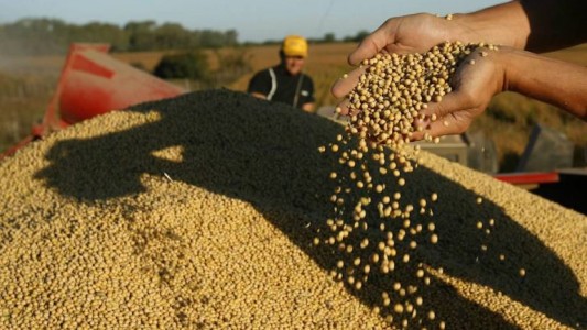 La agroindustria representó casi el 80% de industria de Santa Fe en el 2020