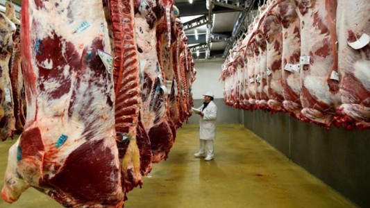 Carne: se desplomó la faena y fue una de las más bajas de los últimos 42 años