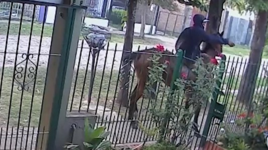 Como en el lejano oeste, violento robo a caballo