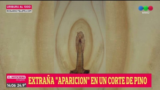 Dos hombres aseguran que se les apareció la virgen mientras trabajan con maderas