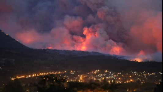 "A alguien se le ocurrió que estaba bien arrasar con todo sin importarle nada"
