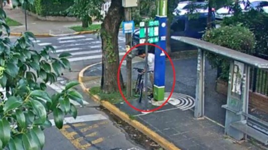 Detenido por robar una bicicleta: en su casa hallaron 14 plantas de marihuana