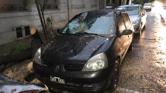 Árboles caídos y vehículos dañados producto del fuerte temporal