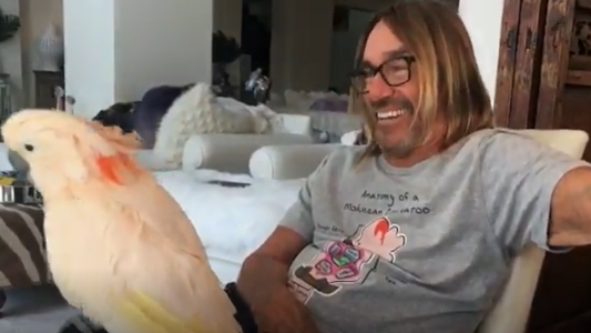 La desopilante reacción de la mascota de Iggy Pop a una canción