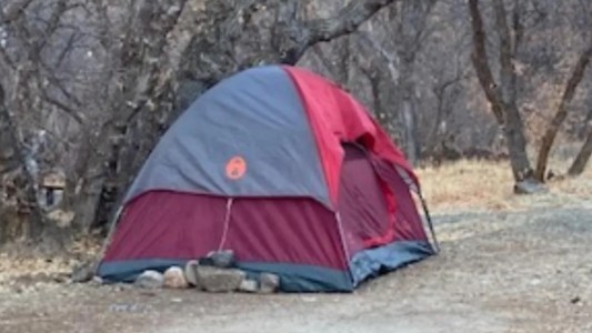 Misterio resuelto: desaparecida hace casi 6 meses, la hallaron viviendo en una carpa en el bosque