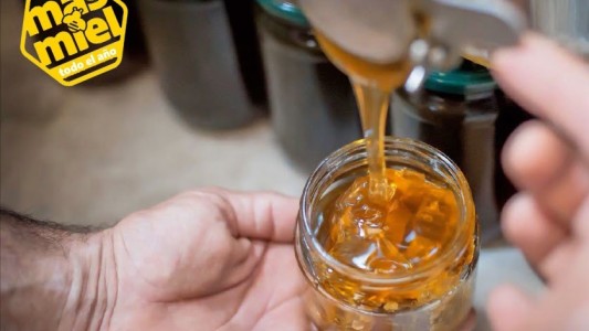 Santa Fe participó de la presentación de la Campaña Federal “Más miel todo el año”