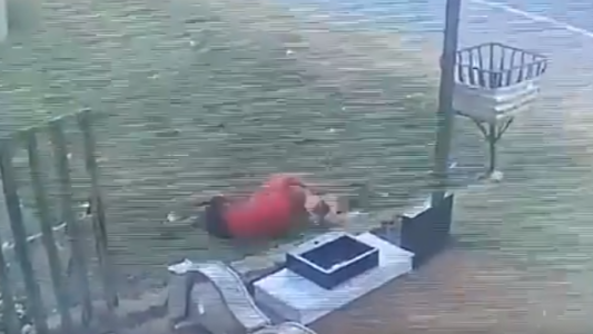 Atajada mundial: corrió una gallina, la atrapó y se la robó