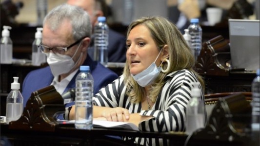 Lucila Lehmann: “Hoy Santa Fe es un narcoestado”