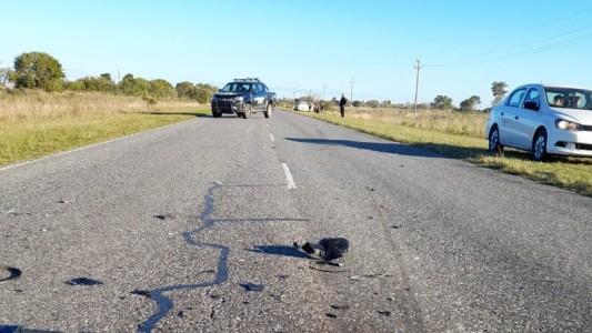 Tras un accidente de tránsito en Ruta 2, la policía secuestró drogas y un arma de fuego