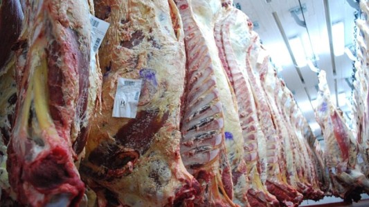 El Gobierno anunciará hoy el nuevo esquema de exportación de carne