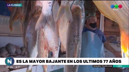 Bajante histórica: cómo afecta a los pescadores
