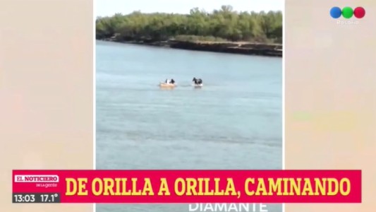 Por la bajante del Paraná, un caballo cruza caminando por el lecho del río