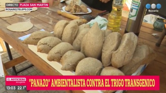 Panazo de ambientalistas en contra del trigo transgénico
