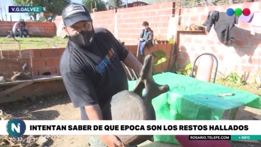 Buscan más restos fósiles de una ballena tras el hallazgo de un pescador