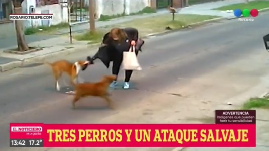 Perros atacaron a una vecina": "Ni yo los podía controlar", dijo uno de los dueños