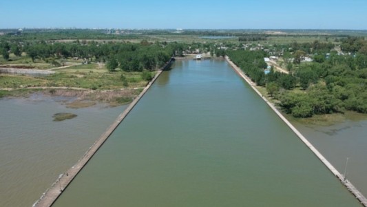 Por la presencia de un tipo de alga redujeron el servicio de agua potable en La Plata