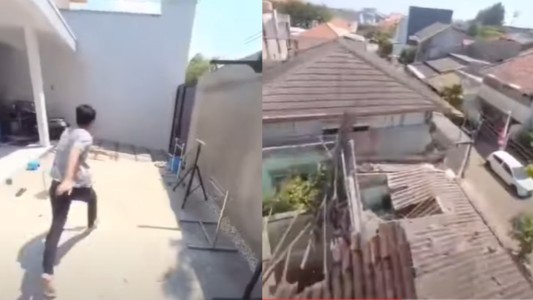 Como si fuera un dron: un pájaro se robó una cámara y filmó impactantes imágenes