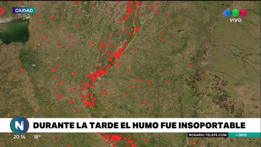 Ecocidio: 20 mil hectáreas están siendo devoradas por las llamas