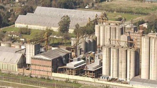 Molino Cañuelas se presentó en concurso preventivo de acreedores