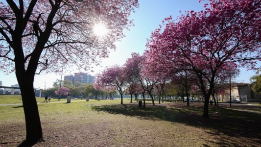 El tiempo en la ciudad: viernes con cielo despejado y temperatura agradable