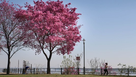 Se va despidiendo el invierno con cielo despejado y temperatura en ascenso