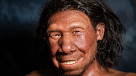 Reconstruyeron la cara de un neandertal que vivió hace más de 50.000 años