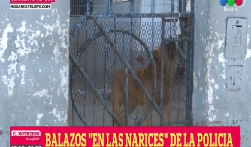 Impunidad total: balearon un kiosko que tenía custodia policial en Casiano Casas