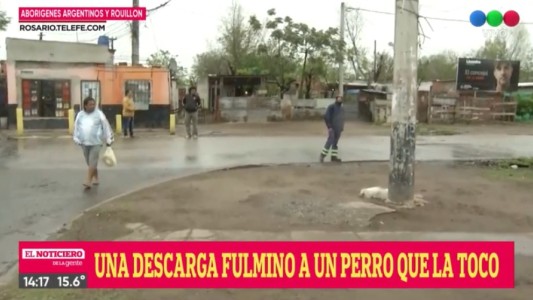 Un perro murió electrocutado en Aborigenes Argentinos y Rouillon