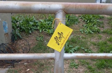 Septiembre amarillo: campaña para concientizar que el suicidio puede prevenirse