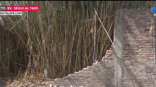 Insólito: tiraron abajo una pared para robarse esos mismos los ladrillos que derrumbaron