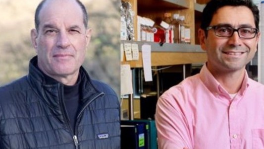 Nobel de Medicina para dos científicos por descubrimiento de receptores para temperatura y tacto