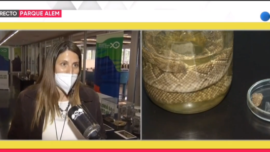 Especial de serpientes: comenzó una muestra en el Acuario del Río Paraná