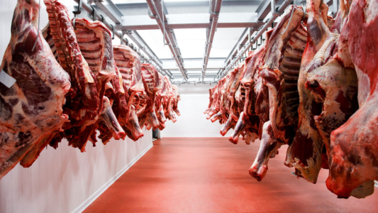 Es oficial la flexibilización en las exportaciones de carne
