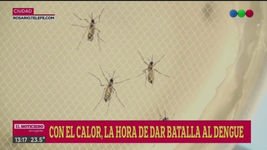 Comenzaron los operativos de prevención del dengue en Rosario