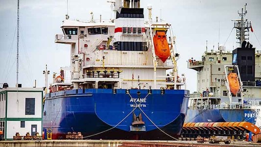 Un marinero mató a su capitán y su primer oficial de un buque que navegaba en el Río de La Plata