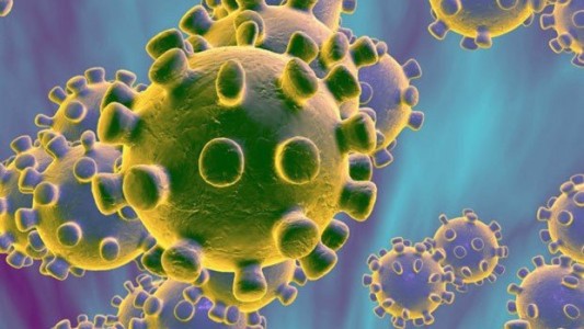 Confirmaron 23 muertes y 1.485 contagios en las últimas 24 horas