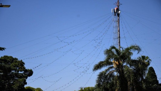 Comenzó el armado del mítico árbol de Navidad